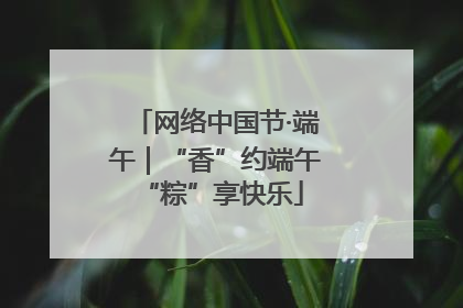 网络中国节·端午｜“香”约端午 “粽”享快乐
